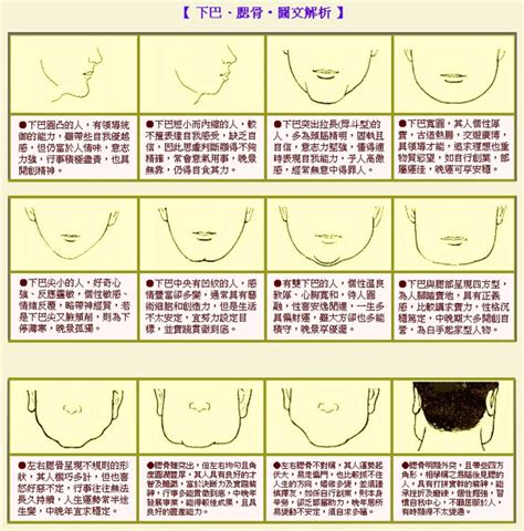 下巴圓 面相|面相大全——下巴